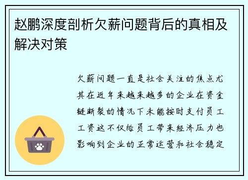 赵鹏深度剖析欠薪问题背后的真相及解决对策
